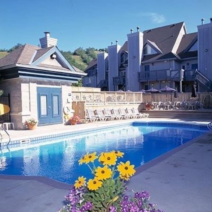 Blue Mountain Suites Blue Mountains Extérieur photo